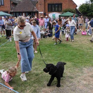 Goodworth Clatford Parish Council  Fete 2026 photos