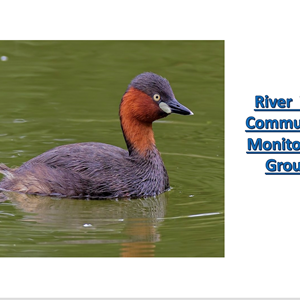 Berwick St James Parish River Till Community Monitoring Group