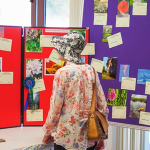 HBT Horticultural Society Photographs 2025