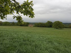 Grewelthorpe Parish Council Home