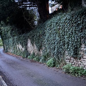 Buckland Dinham Lower St Clean up