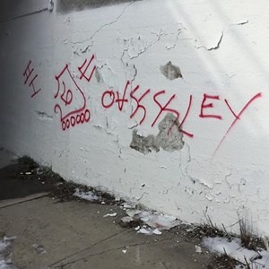 Random graffiti quickly removed