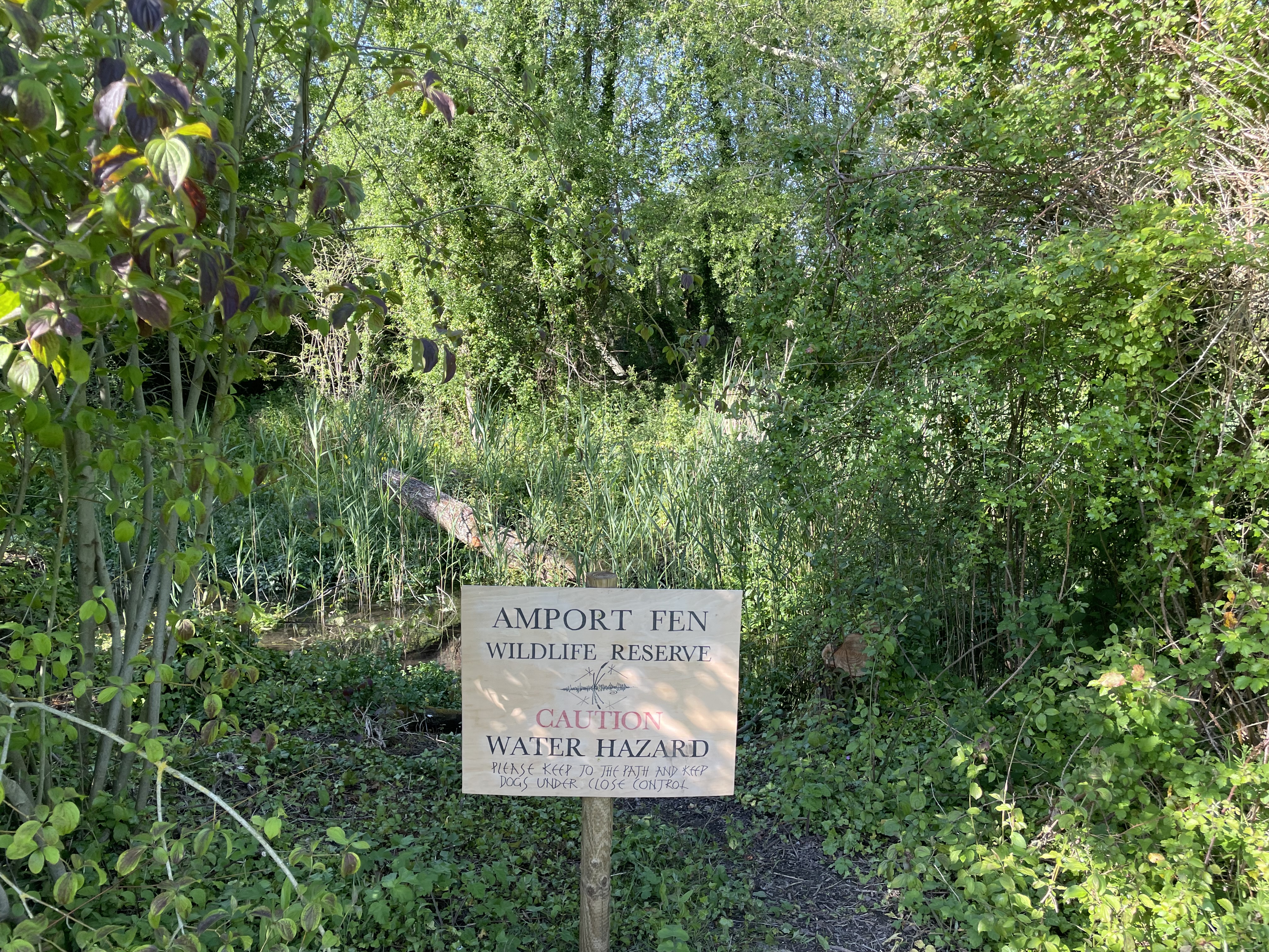 Amport The Fen