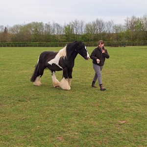 Louth & District Lions Lincolnshire Wolds RDA