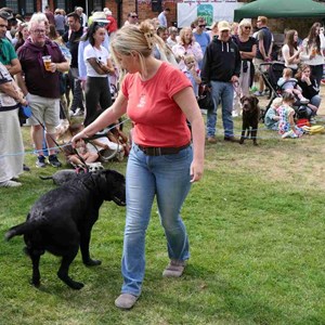 Goodworth Clatford Parish Council  Fete 2026 photos