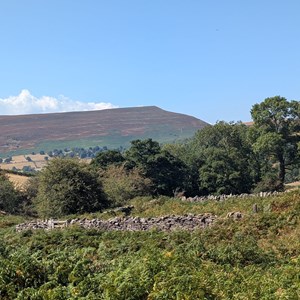 Hereford Mountain Club Our Recent Activities