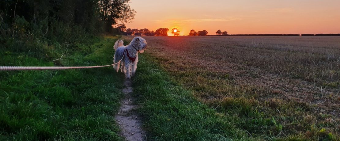 Cound Parish Council Dog Owner Responsibility