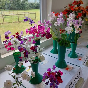 Bucklebury and Marlston Horticultural Society Summer Show Report 2024