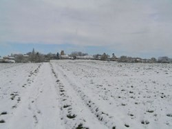 Cuddesdon and Denton Parish Council Gallery