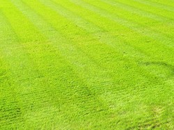 Whitstable Bowling Club Relaying new green 2024