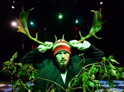 Cygnet Theatre Gallery