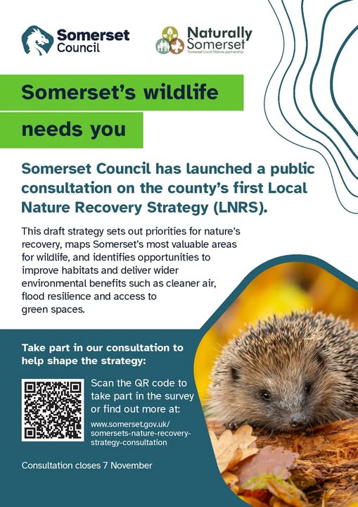 Buckland Dinham Somerset's Wildlife Needs You