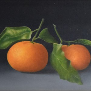 'Clementines' Oil by Joan Rollason