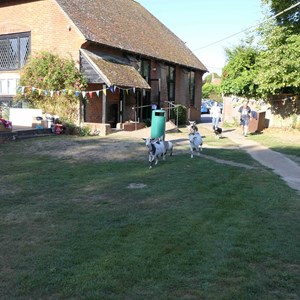 Goodworth Clatford Parish Council  Flower Show  2025 photographs.