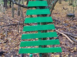 Wellow Mens Shed Gallery