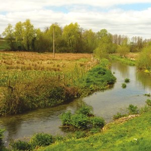 Berwick St James Parish The River Till