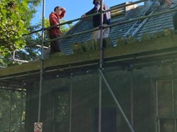 Checking roof for bats