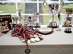 Flower Show cups and prizes