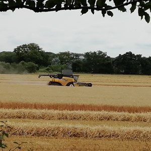 View of the harvest taken from sleeper bench Autumn 2019