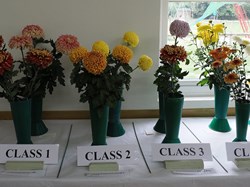 Bucklebury and Marlston Horticultural Society Autumn Show 2025