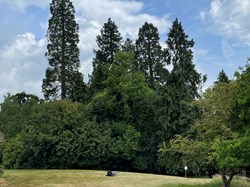 Bucklebury History Group The Dell - Carbinswood Lane