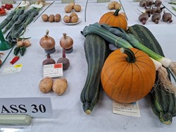 Bucklebury and Marlston Horticultural Society Autumn Show Report 2026