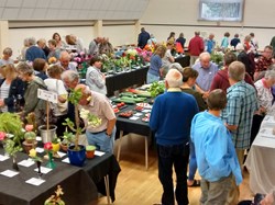 Mannings Heath & District Horticultural Society Summer Show 2019