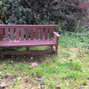 Asenby Parish Council Local Walks