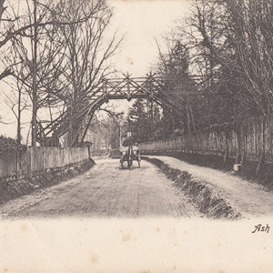 Ash Dell Bridge ~ Postmarked 19.08.1904
