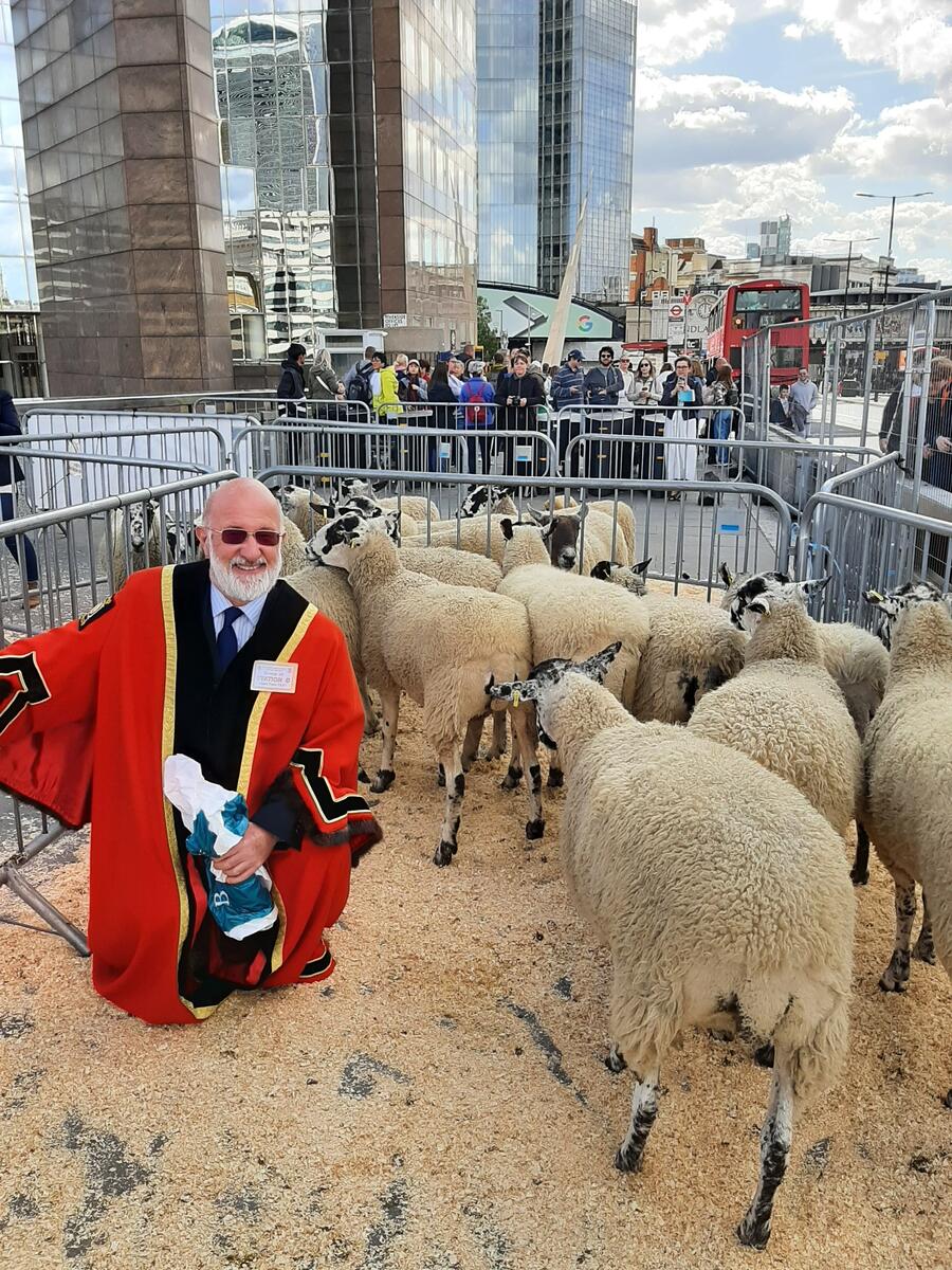 Master Richard Geldard at London Bridge with the sheep