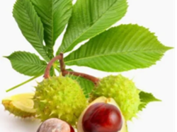 Sambourne Parish Council Wildlife sightings in Sambourne Parish