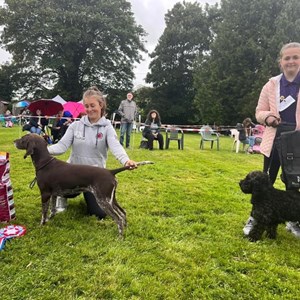 Whixall Social Centre Whixall Companion Dog Show 2024