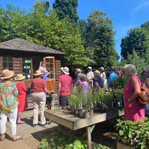 The Garden Shed Gallery