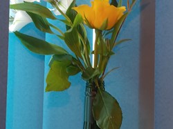 Bettisfield Village Hall Community Association WHATS ON  - February 2026