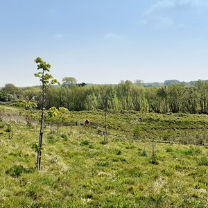 Langley Park country park