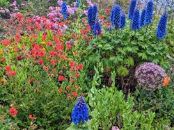 Cannock Wood Parish Council Introduction