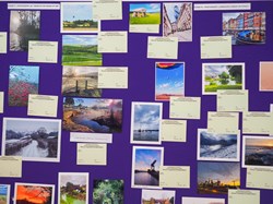 HBT Horticultural Society Competition Schedule 2026