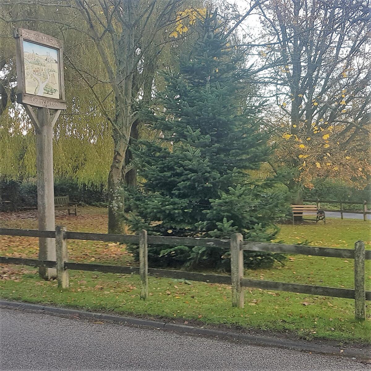 Christmas is coming !!!!. The Christmas Tree on the Village Green recently erected by Richard Tew and Mark Davis. Lights to be added shortly.