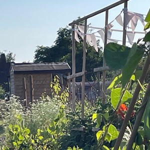 Benenden Parish Council Allotment Association