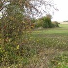 Burghwallis Parish Council Walks Around The Village