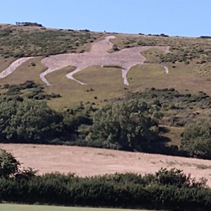 Thank you to The Osmington Society for its fundraising efforts for the restoration of The White Horse
