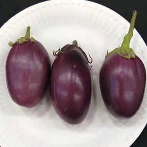 Mannings Heath & District Horticultural Society Summer Show 2025