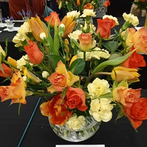 Mannings Heath & District Horticultural Society Photo Gallery