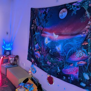 Norton Canes Community Library & Information Hub Sensory Room