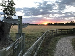 A glorious sunset on a lovely  summer evening walk. ©RP