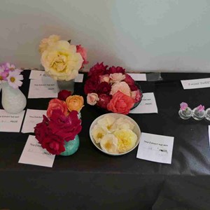 Goodworth Clatford Parish Council  Fete 2026 photos