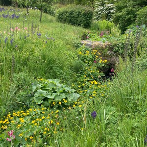 Chillerton and Gatcombe Parish Council Village Photos
