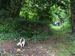 Tetcott, Church of the Holy Cross 2025 jan - jul