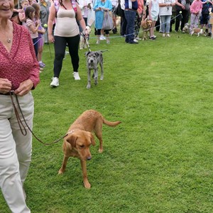 Goodworth Clatford Parish Council Village Fete/Garden Show