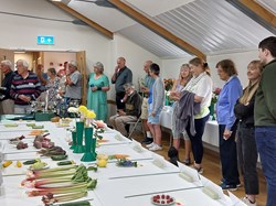 Bucklebury and Marlston Horticultural Society Summer Show Report and Awards 2025